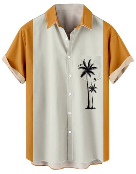 Smart Casual Shirts